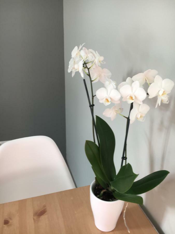 Apartament Easy Stay Center Wrocław Exteriör bild